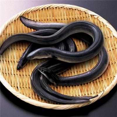 浜松・浜名湖　うなぎ蒲焼2人前