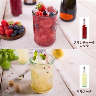 オーガニックソーダGalvanina Century Bio　12本セット（6種各2本）