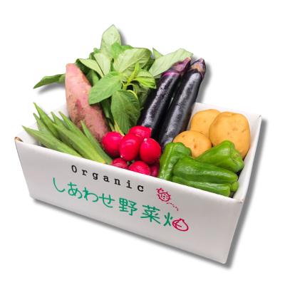 《毎月お届け》有機JASオーガニック野菜 Sセット