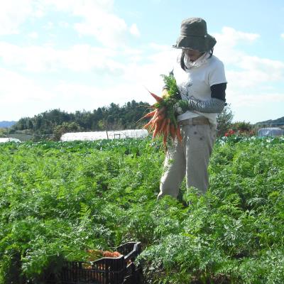 《毎月お届け》有機JASオーガニック野菜 Sセット