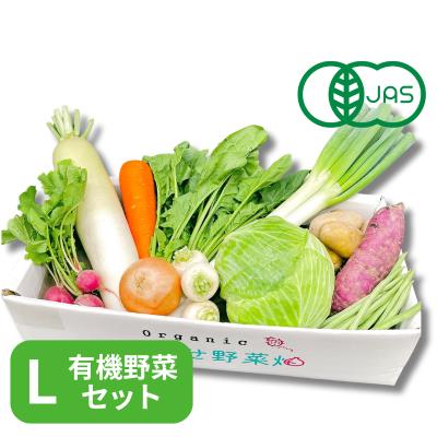 有機JASオーガニック野菜 Lセット