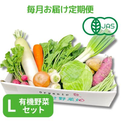 《毎月お届け》有機JASオーガニック野菜 Lセット