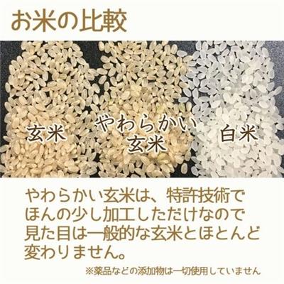 やわらかい玄米（特栽米 津南町産こしひかり）900g