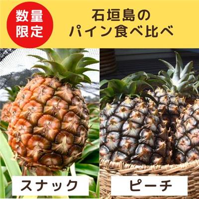 8割減農薬　石垣島のパイン食べ比べセット(スナック・ピーチ各1)