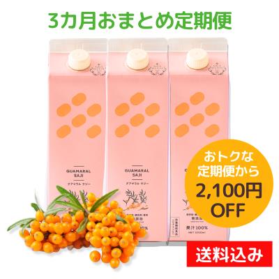 《3カ月おまとめ定期》グアマラルサジー100％ 1000mL3本